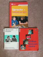 Pädagogik/ Reformpädagogischer Ansatz von Maria Montessori München - Untergiesing-Harlaching Vorschau