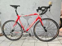 XL 58Cm Komplett Ultegra 28 Zoll GHOST SCR Rennrad Bayern - Augsburg Vorschau