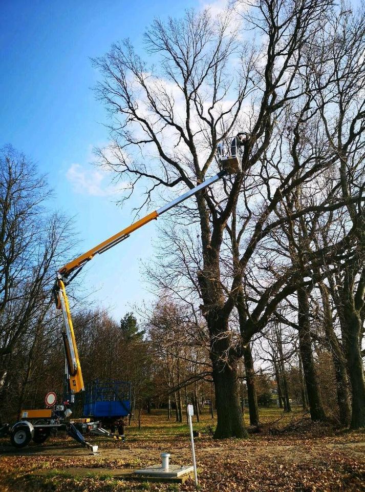 Hebebühne/ Hubsteiger/ GT21A / Paus / Sachwertinvestition in Panschwitz-Kuckau