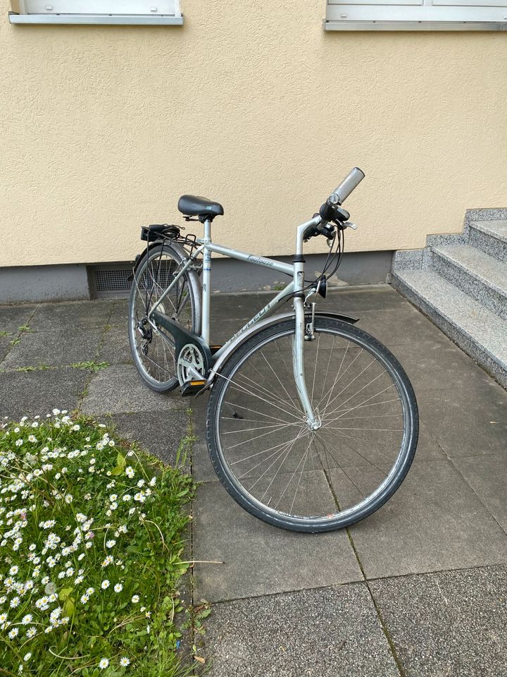 Herr Fahrrad 28“ Peugeot Toulouse 21 Gang in Wiesbaden