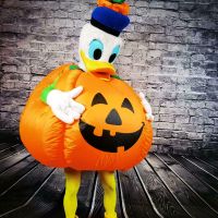 Halloween Donald Duck Maskottchen Kostüm Kürbis Fasching Berlin - Steglitz Vorschau