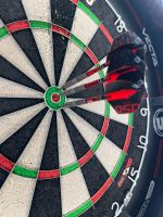 Steel Darts von Nathan Aspinall 23g Niedersachsen - Langenhagen Vorschau