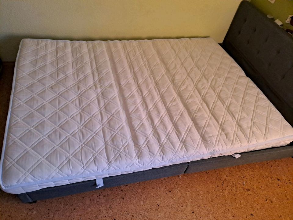 Bett 140×200 mit Matratze und Lattenrost  Polsterbett grau in Möhnesee