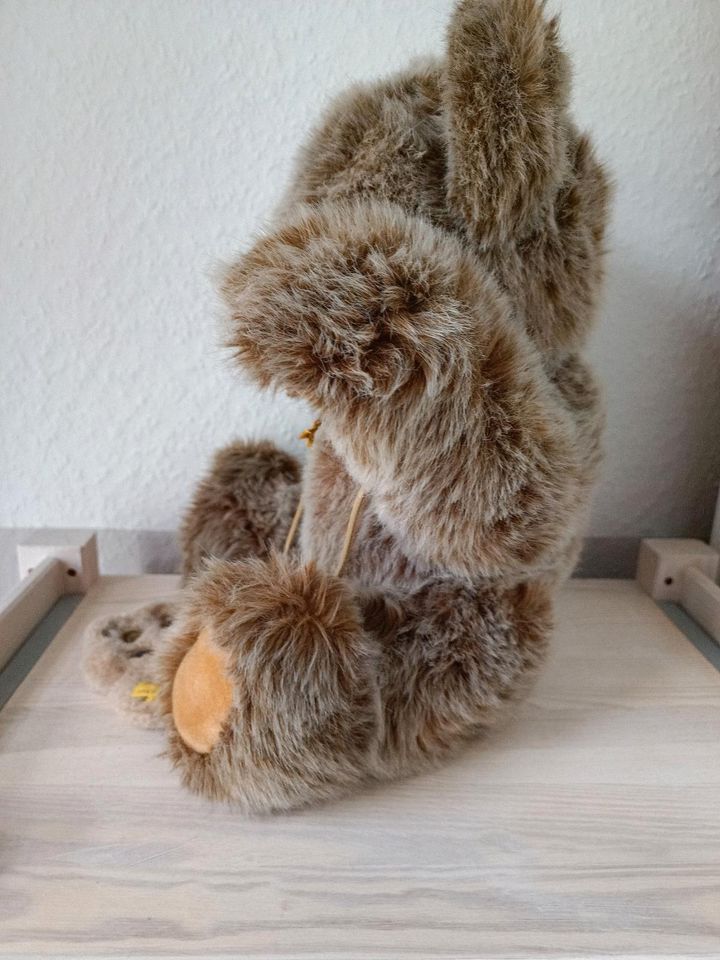 Steiff Teddybär in Essen