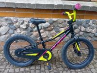 Kinderfahrrad Specialized RipRock 16" Sachsen - Johanngeorgenstadt Vorschau