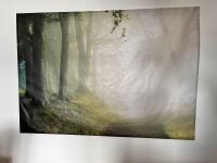 Bild 200 x 140 cm Bonn - Duisdorf Vorschau