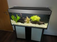 240L Aquarium inkl. Zubehör Bayern - Schlüsselfeld Vorschau