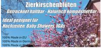 Zierkirschen Blüten Rosa für Hochzeit, Baby Shower oder JGA Rheinland-Pfalz - Osthofen Vorschau