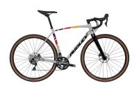 RIDLEY KANZO A Shimano GRX600 2x Silber XXS, XS, L Gravelbike Bayern - Bad Staffelstein Vorschau