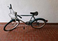 Fahrrad fahrrad Bayern - Eggenfelden Vorschau