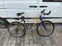 Carbon Mountainbike Fahrrad Kreis Ostholstein - Bad Schwartau Vorschau