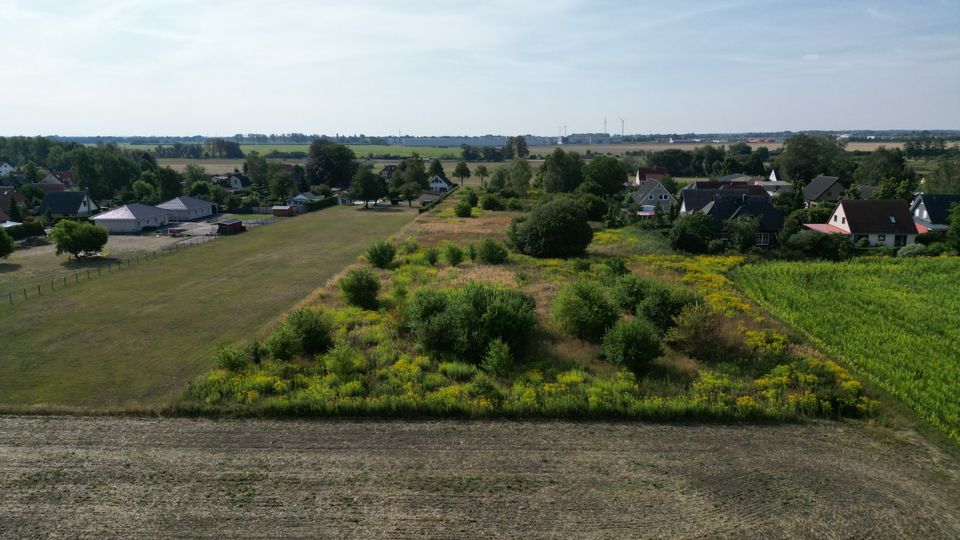 Zuhause in Vehlefanz - 10 Baugrundstücke im Grünen zu verkaufen! Direkt vom Eigentümer! in Oberkrämer