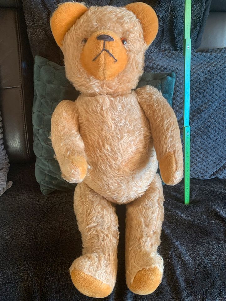 Teddy Alt aus der Sammlung meiner Oma in Bad Salzdetfurth