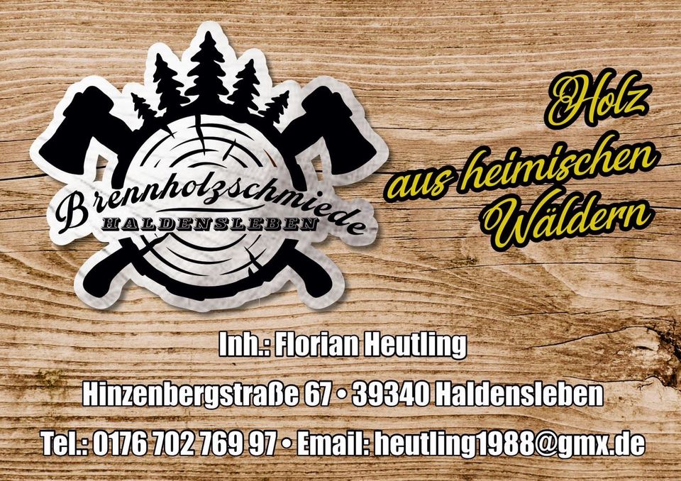 ‼️Aktion Kaminholz gemischt Eiche /Birke /Nadelholz 6srm‼️ in Haldensleben