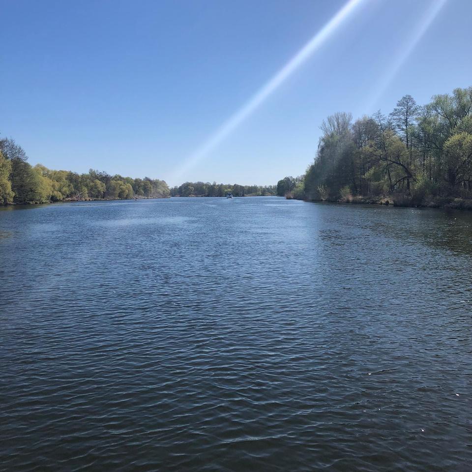 Hausboot mieten Havel - führerscheinfrei - Insel Werder, Potsdam in Werder (Havel)