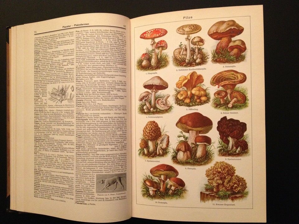 Meyers kleines Lexikon in drei Bänden von 1931/1932 in Möser