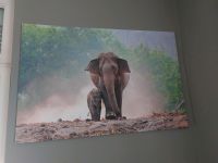 Wandbild Elefant mit Baby 80 × 120 cm Nordrhein-Westfalen - Siegen Vorschau