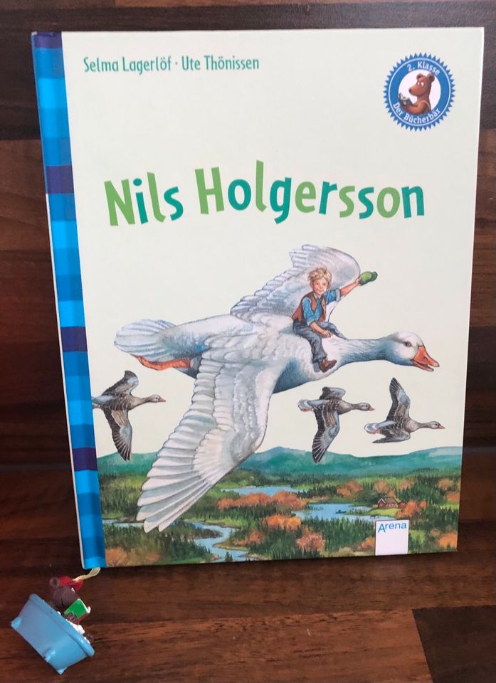 Buch „ Nils Holgerson“ für Erstleser in Augsburg