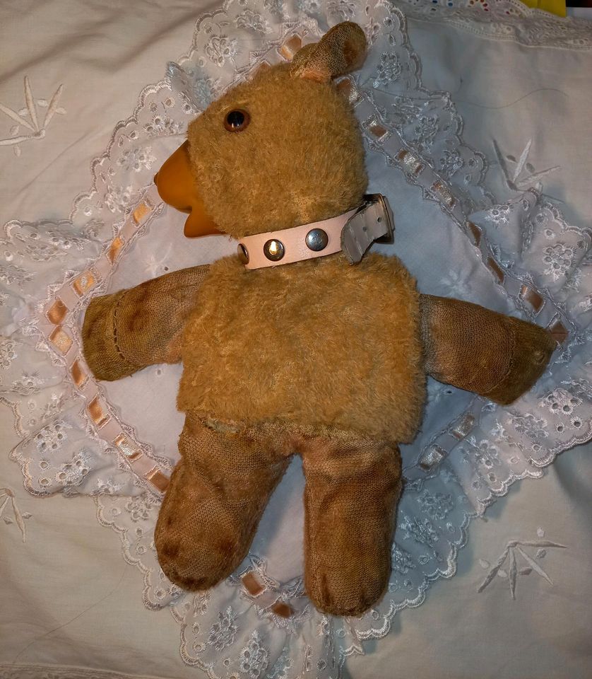 antik Spielzeug Teddy Bär rar alt selten Plüschtier Stofftier in Cottbus