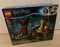 Lego Harry Potter 75967 Der Verbotene Wald Begegnung mit Umbridge Bayern - Trogen Vorschau