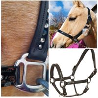 Leder halfter Imperial Riding COB Nordrhein-Westfalen - Selfkant Vorschau