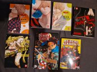 Bücher  Anime/Manga Sachsen-Anhalt - Wolmirstedt Vorschau