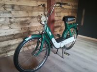 >> SUCHE << Piaggio Ciao 19"/19 Zoll/C9 Bayern - Marktschellenberg Vorschau