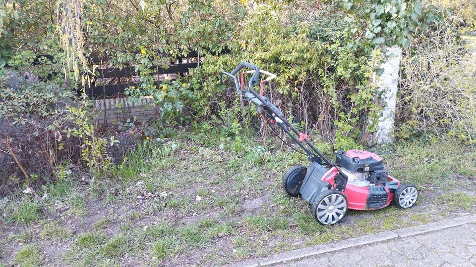 Gartenpflege Hecke schneiden in Achim