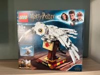 Lego 75979 Harry Potter Eule Hedwig Neu und OVP Rheinland-Pfalz - Boppard Vorschau