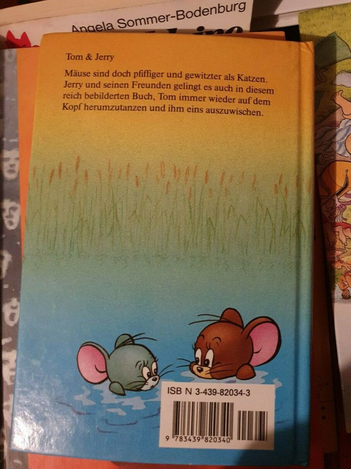 Jugendbücher (Tom & Jerry, Pizza Bande, Adlerjunge ...) in Darmstadt