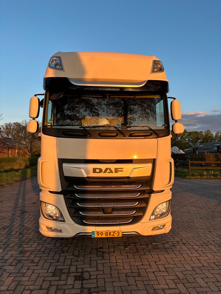 DAF XF530 4x2 BJ2018 E6 sattelzug in Straelen