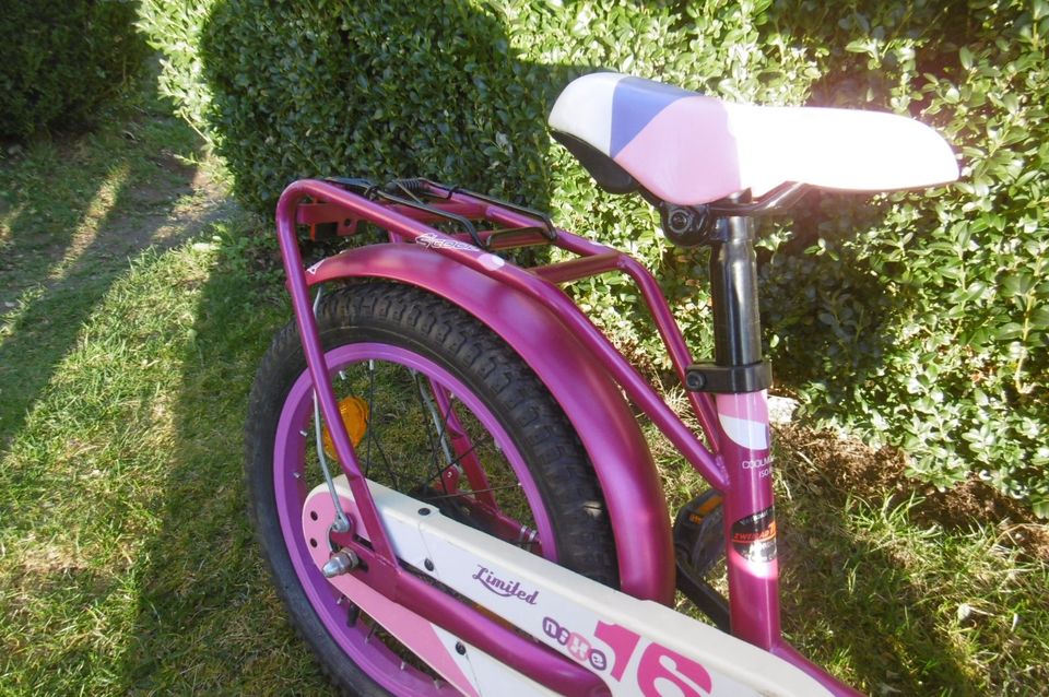 Kinderfahrrad nixe in Pforzen