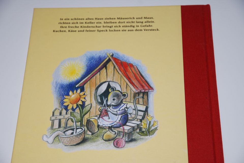 Kinderbuch Ein flinkes, keckes Hausgesindel, wie neu in Lübeck