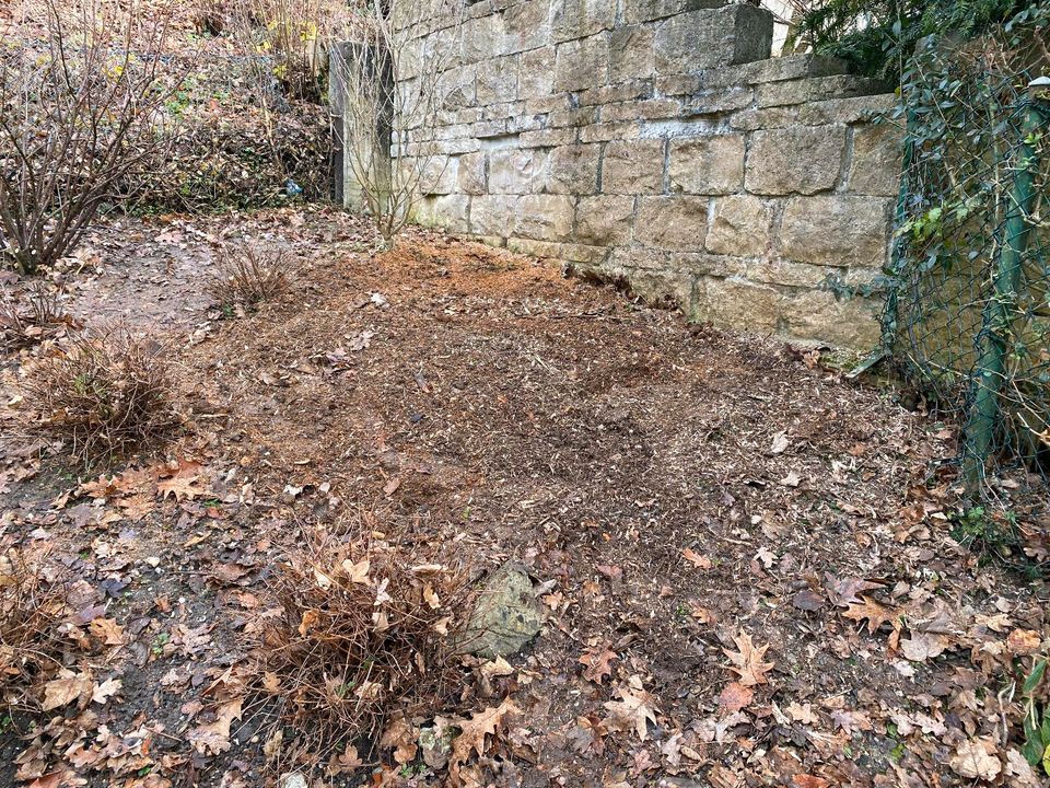 Wurzelstockfräsen, Baumstumpffräsen in Niederbergkirchen