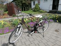 Fahrrad Kettler E-Bike Layana-E Center / Guter Zustand Baden-Württemberg - Klettgau Vorschau