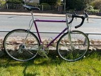 Vitus 979, Retro/vintage Rennrad, Campagnolo Record Bayern - Bad Tölz Vorschau