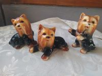 3 Hundefiguren Yorkshire Hessen - Offenbach Vorschau