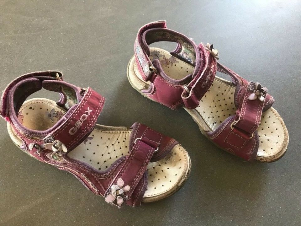 Kinder Sandalen, Balerinas von Geox Superfit Sketchers 24-28 in Gundersheim