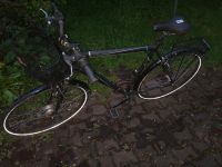Fahrrad zu verkaufen Nordrhein-Westfalen - Rietberg Vorschau