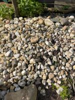 Steine/Kiesel für Teich und Garten Nordrhein-Westfalen - Viersen Vorschau