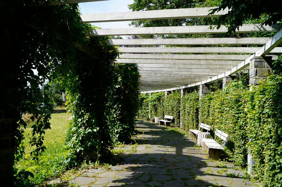 Geschmackvolle Dachgeschosswohnung über zwei Etagen mit TG in bester Wohnlage *Nahe Tierpark* in Chemnitz