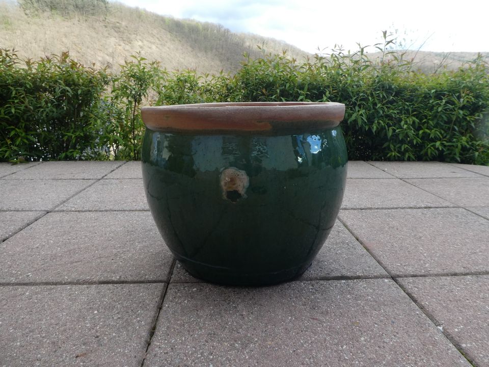 Pflanztopf Terrakotta / Keramik grün Außenbereich Übertopf Ø 37 in Lahnstein