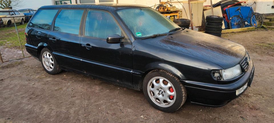 Schlachtfest Passat 35i VR6 in Gnoien