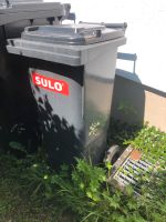 Mülltonne Mülleimer graue Tonne 60L Baden-Württemberg - Engen Vorschau