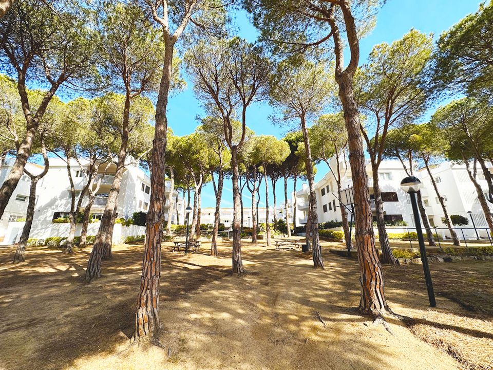 Strandnahes Appartement Spanien Costa Brava mit Pool mieten in St. Wendel