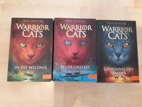 Warrior Cats 1-3 Taschenbuch Geheimnis des Waldes/ Feuer und Eis Sachsen - Callenberg b Hohenstein-Ernstthal Vorschau