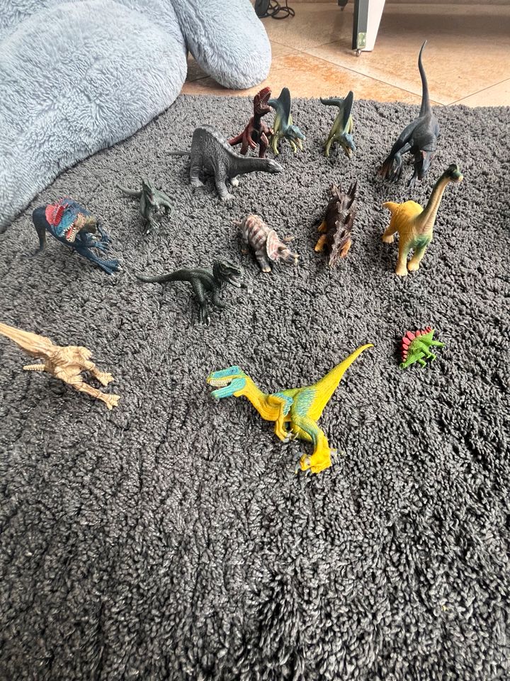 Dino Sammlung in Eschborn