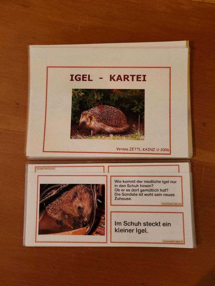 Sachunterricht  - Igel Kartei in Wesselburen