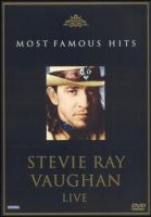 Stevie Ray Vaughan Most Famous Hits - Live DVD  Top Zustand Rheinland-Pfalz - Gau-Bischofsheim Vorschau