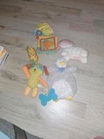 Babyspielzeug Nordrhein-Westfalen - Extertal Vorschau
